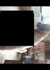 madeByQuickGIFEditor.gif