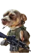 1000001055.webp