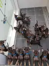 chihuahua clones.webp