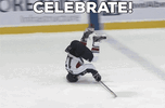 Hockey player on head.gif