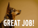 Good job dog.gif