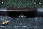 does-anybody-know-where-to-find-a-pennywise-like-storm-v0-ptv27s7eonu71.webp