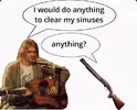 sinuses.webp