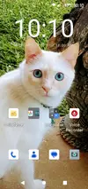Screenshot_20260429-221051.webp