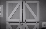 Mr.Ed.gif