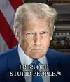I piss off stupid people.webp