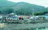 1000022068.webp