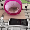 5866.gif
