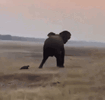 1000069878.gif