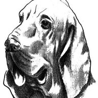 Bigdog6598
