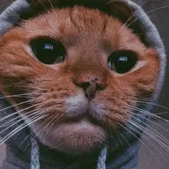Jzmij