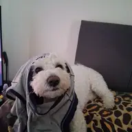Dantheman28