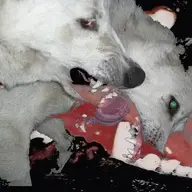 psykogen