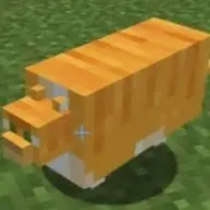 unusually_large_cat