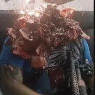 jejdjsjsjaja