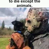 deedz