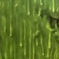 Toxie
