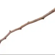 the stick