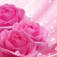 user5462080