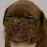 BIGGUSSYCHUNGUSSY