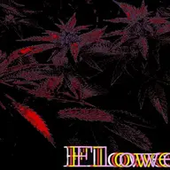 flowers.