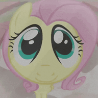Flutter.shy