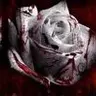 Bloody_Rose