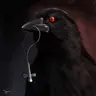 LucifBird
