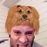 Norskr0ttfe