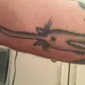 Cattoo