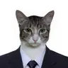 Mhel