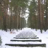 ForzaTreblinka