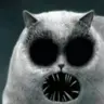 Meow!