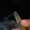 FloresXV3