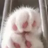 Kutokit