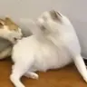 kallmekatty5