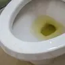 FlushYourPiss