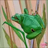 reptirain95