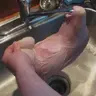 Yee5555