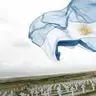 vacaloca