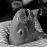 Meat_Man