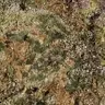 ImAlwaysBaked
