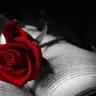 MaidenRose