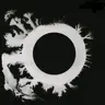Owl3825