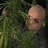 rick sanchez 420
