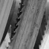 Bandsaw