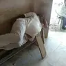 CletusFornortnor