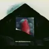 BrazenNightmare