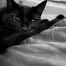 Sandpillow