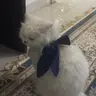 UNIQUE_SHIT